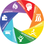 rainbow wheel of spiritual, educational, social, practical, environmental, occupational and financial